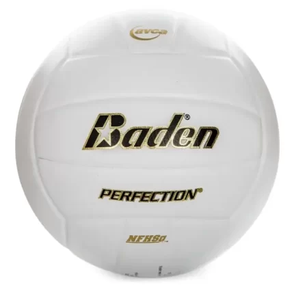 Baden Perfection Leather Volleyball